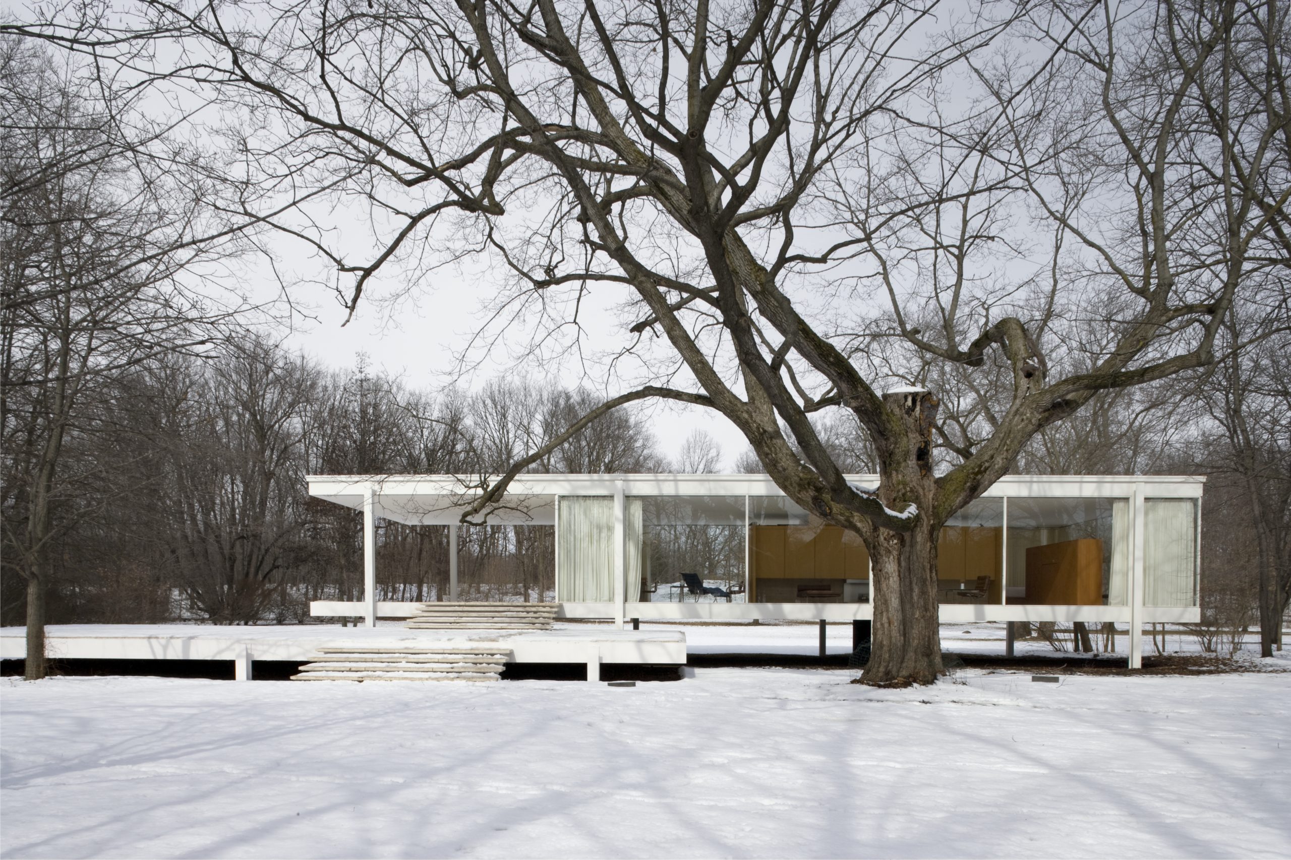 Farnsworth_House_2006-scaled.jpg