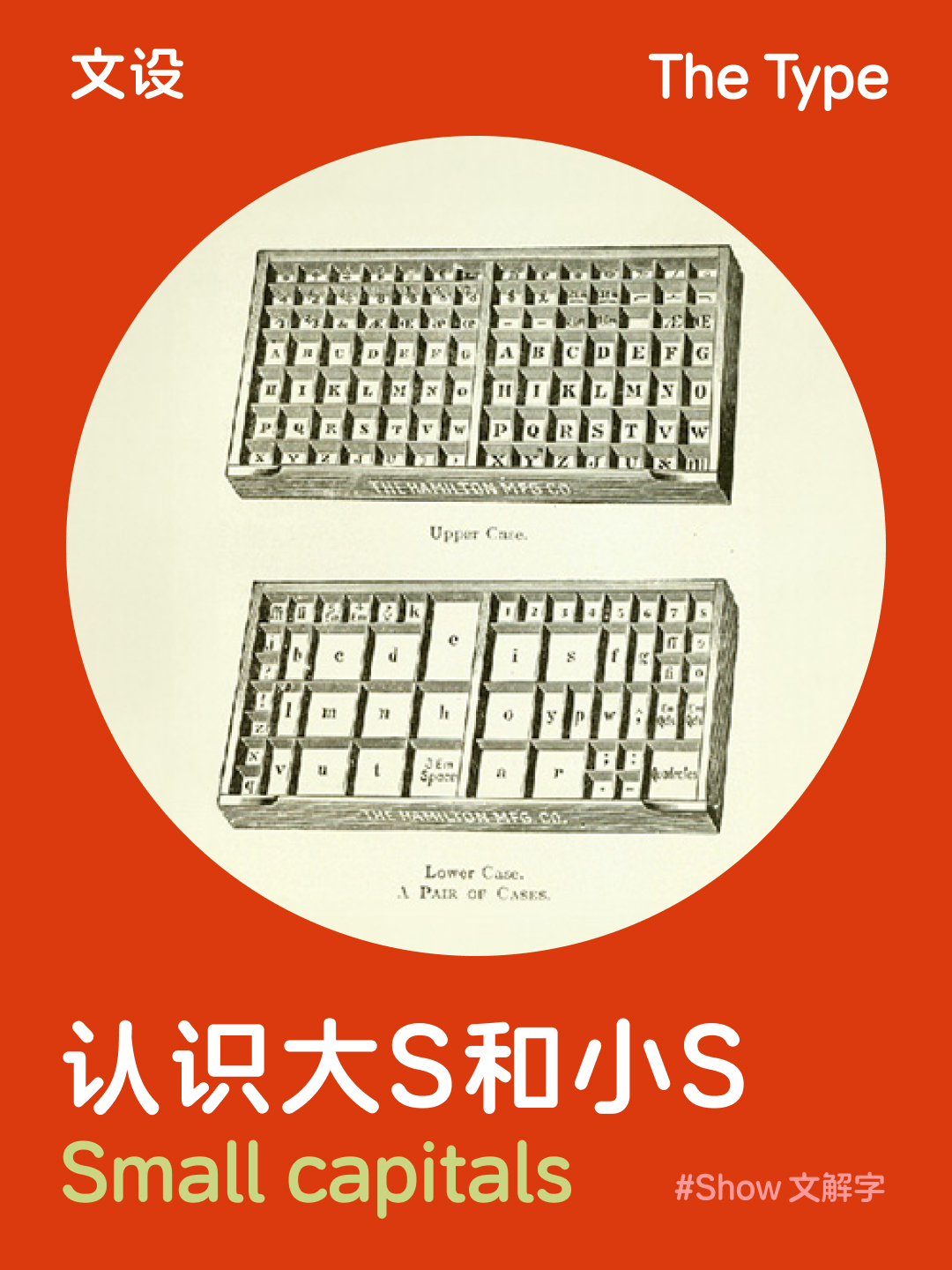 认识大S和小S